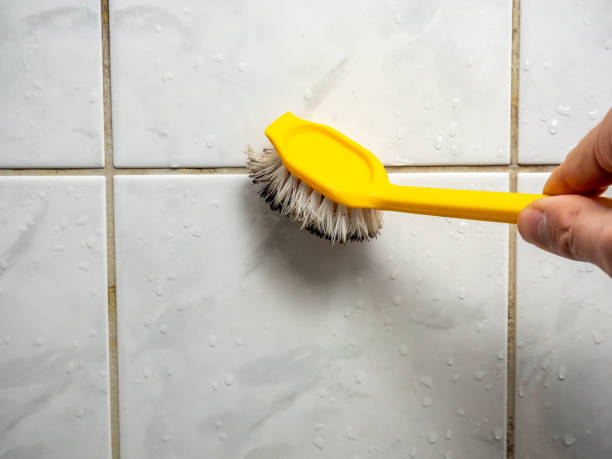 Best Fast Mold Removal  in Walkersville, MD
