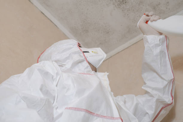 Best Local Mold Removal Service  in Walkersville, MD