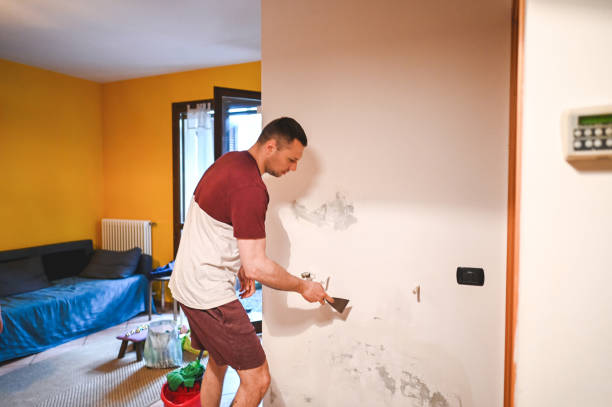 Best Residential Mold Removal  in Walkersville, MD