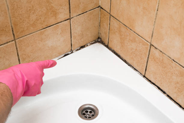Best Home Mold Removal  in Walkersville, MD
